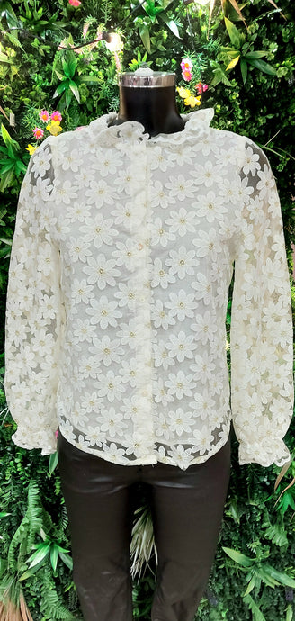 Ally cream lace tiny pearls blouse